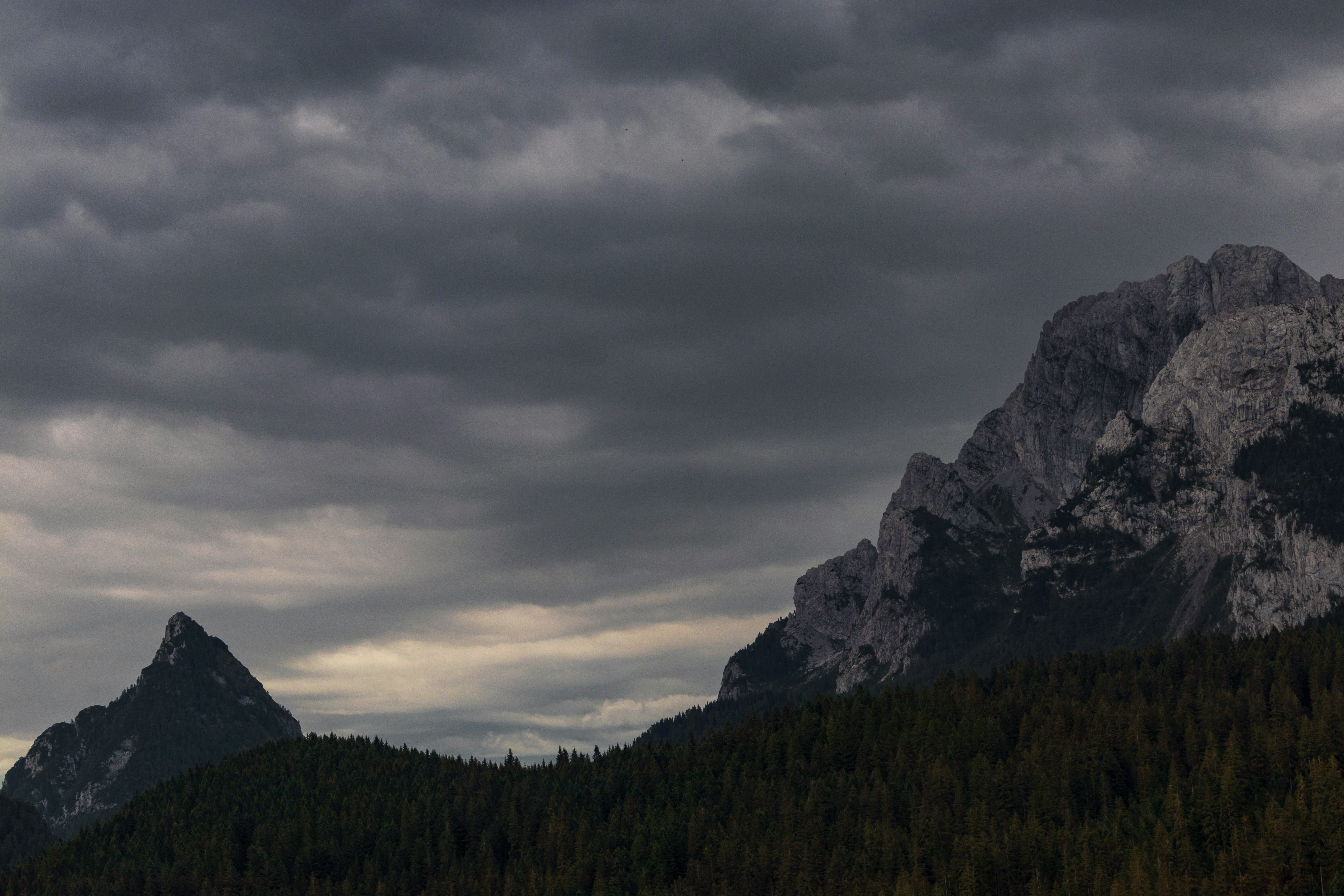 high-angle photo of mountain and trees